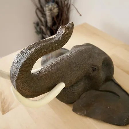 Elephant Guest house