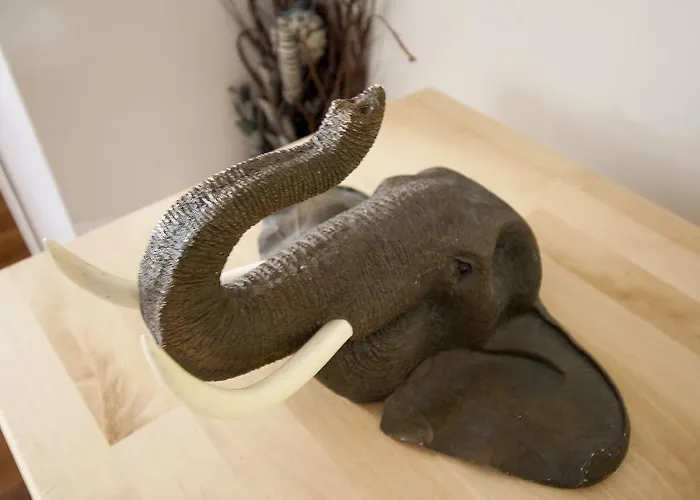 Elephant Guest house